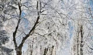 雪花那个飘片尾曲 雪花那个飘片尾曲